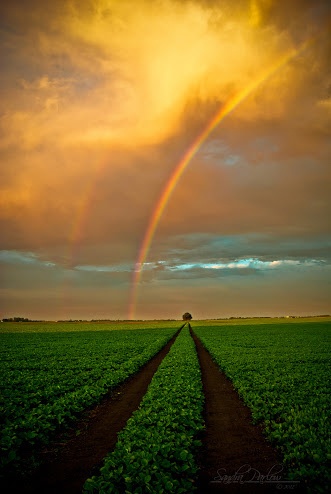 Photo:  rainbow 8